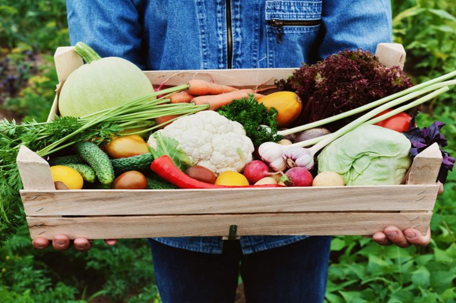 ditta romano andrea imballaggio vaschette di legno